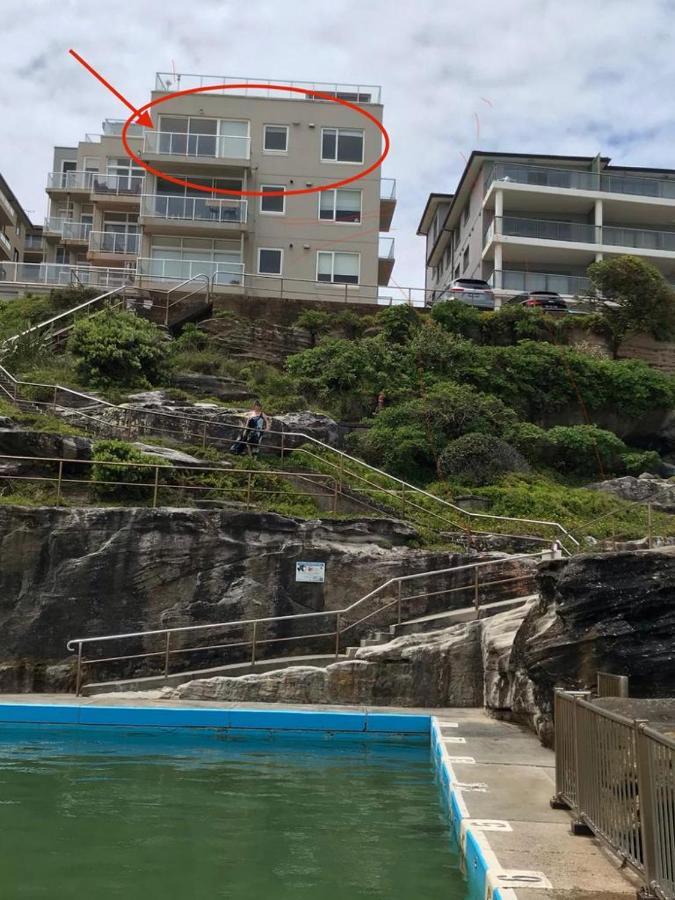 Manly Waterfront Beach Stay Queenscliff Eksteriør bilde